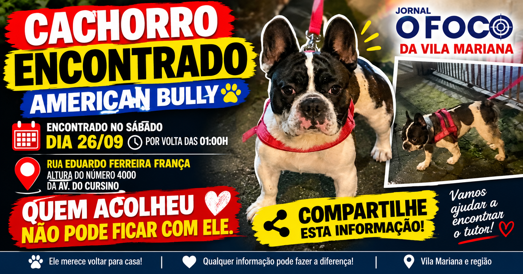 American Bully encontrado na Rua Eduardo Ferreira França, próximo à Av. do Cursino