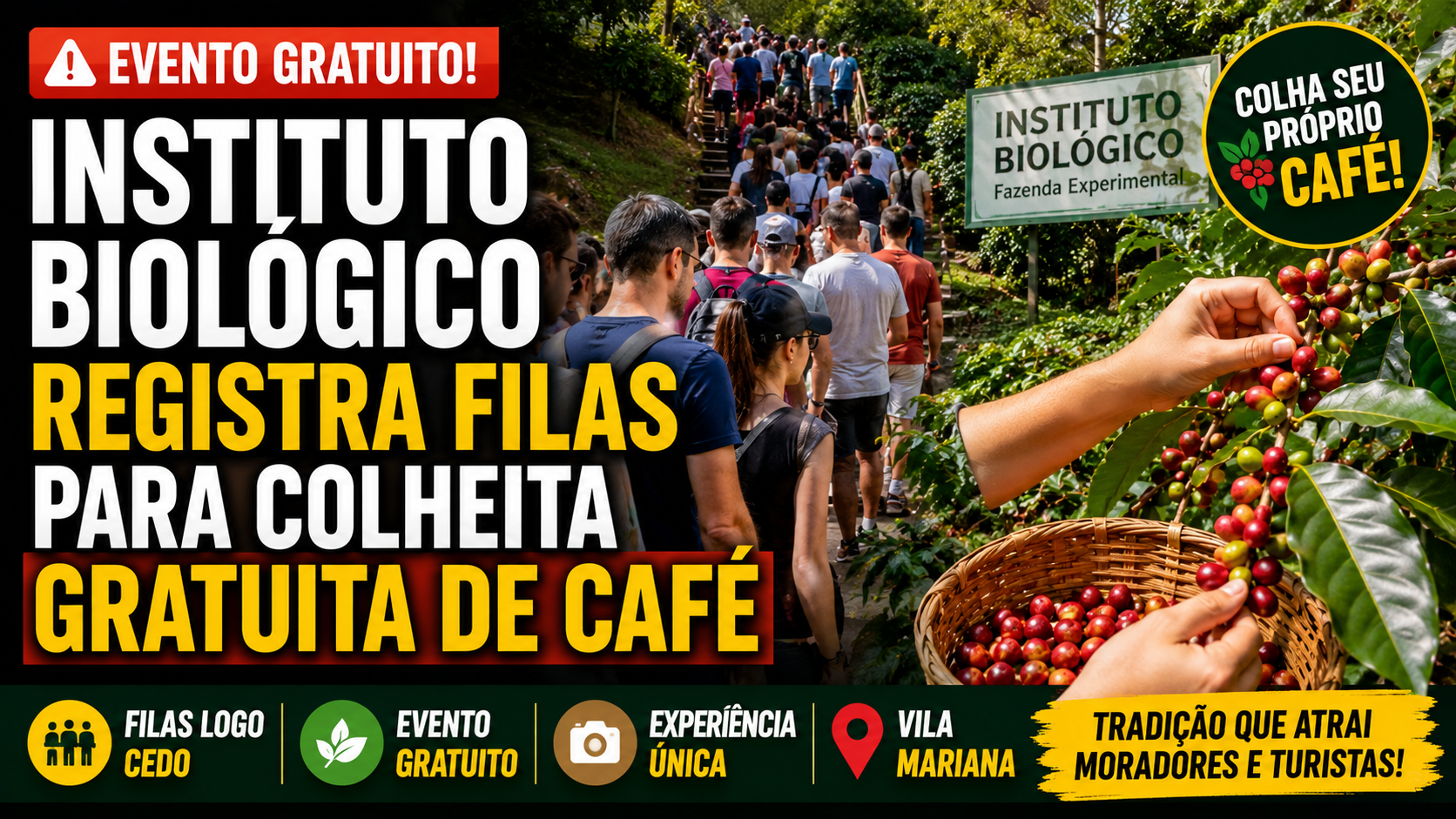 Instituto Biológico registra filas para colheita gratuita de café em São Paulo neste sábado (23)