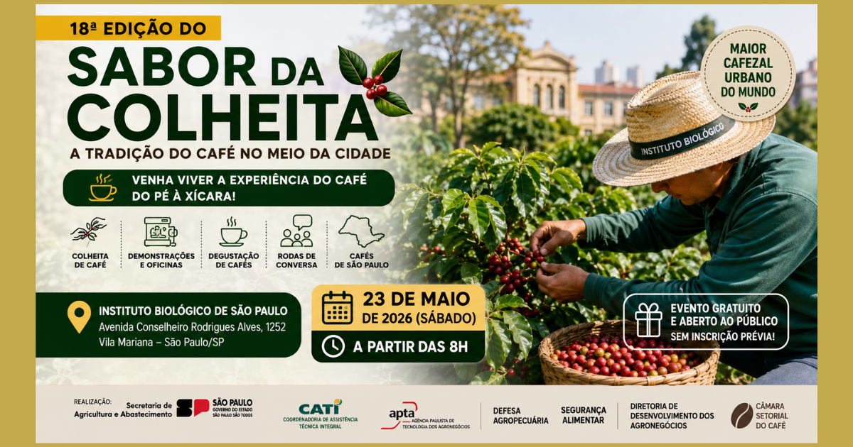 Colheita de café gratuita na Vila Mariana atrai 5 mil pessoas no Instituto Biológico em SP neste sábado (23/05)